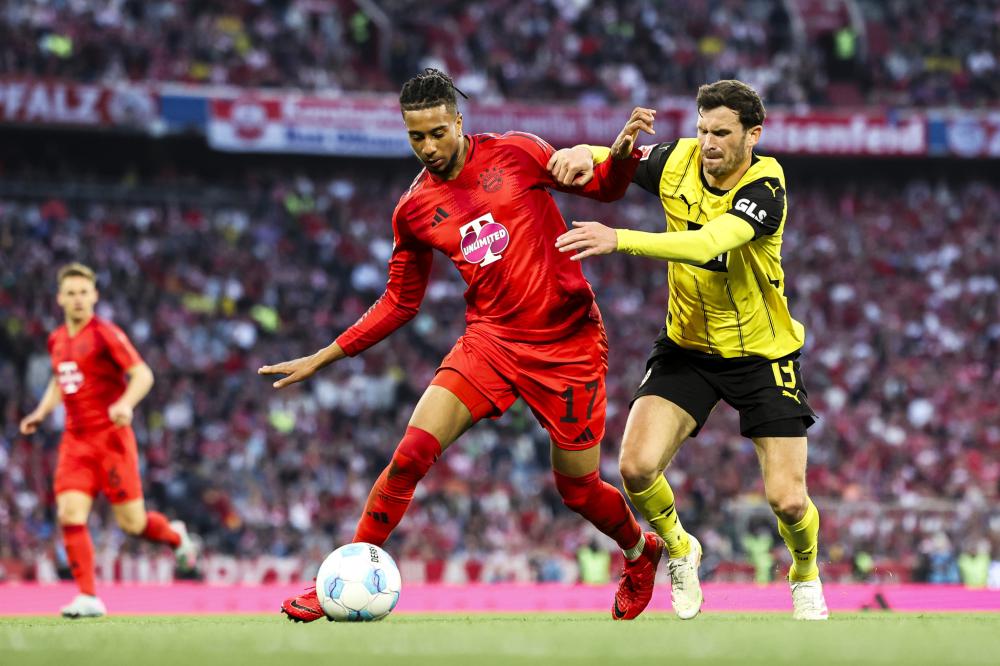 当红明星 当红明星